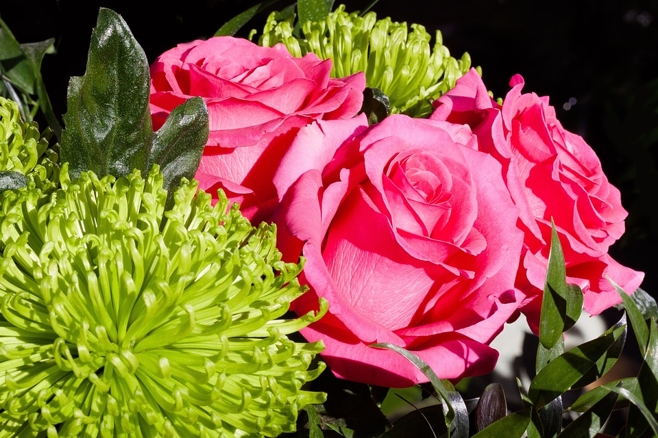 Spring nature plant