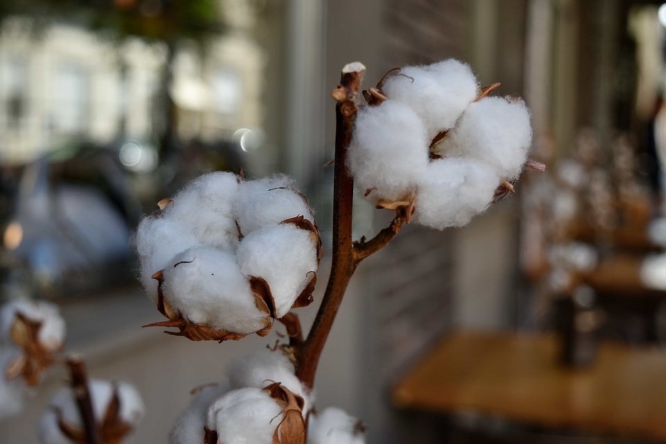 Blurry cotton decoration