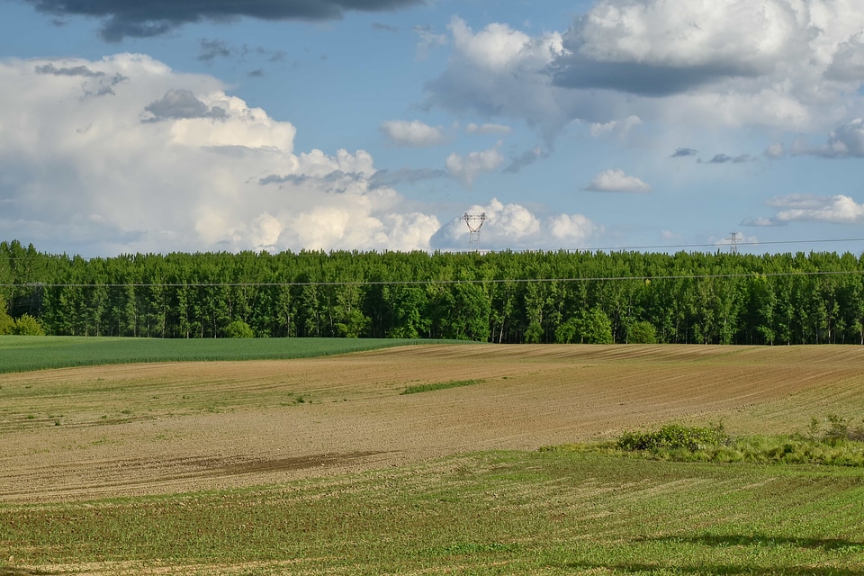 Summer landscape meadow photo