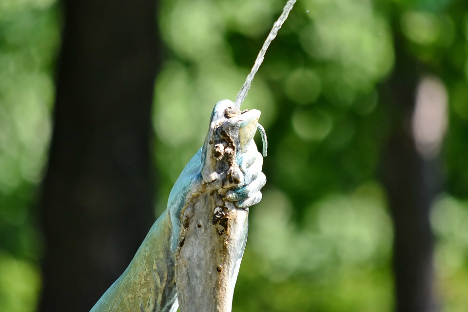 Bronze fish fountain
