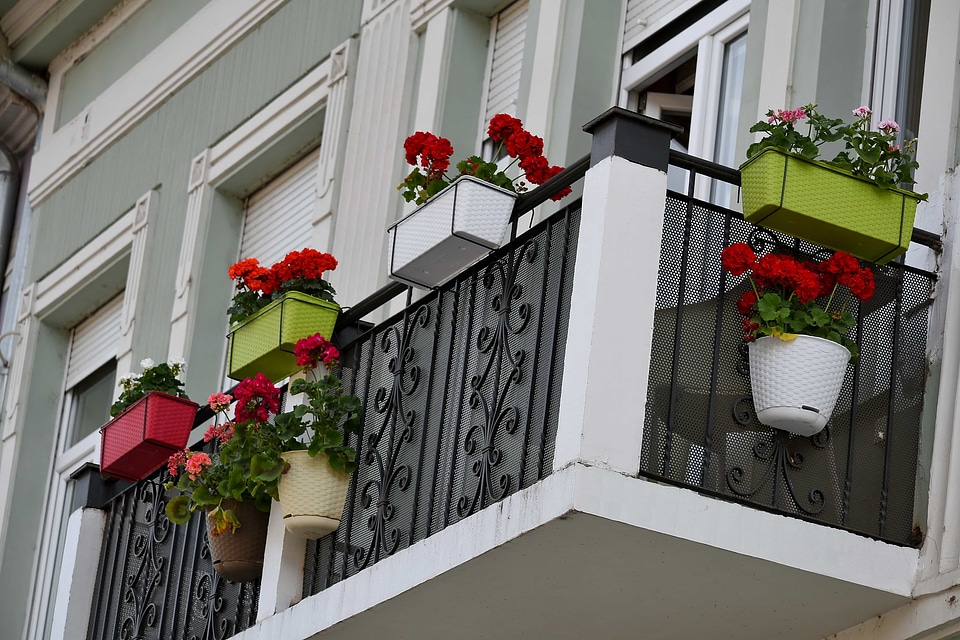 Balcony flowerpot urban area