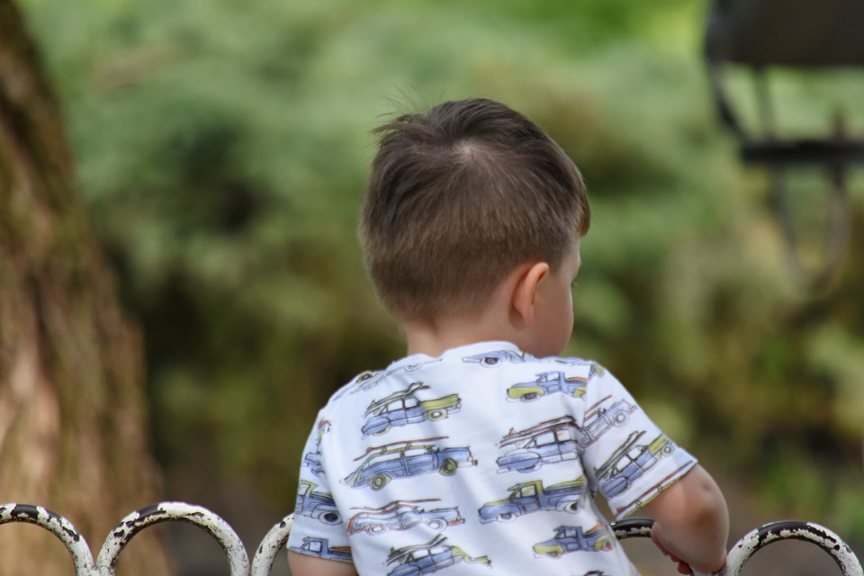 Boy fence park