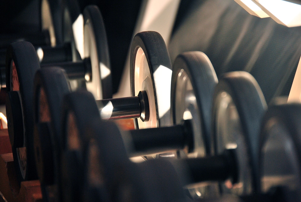 Dumbbell lifting weight