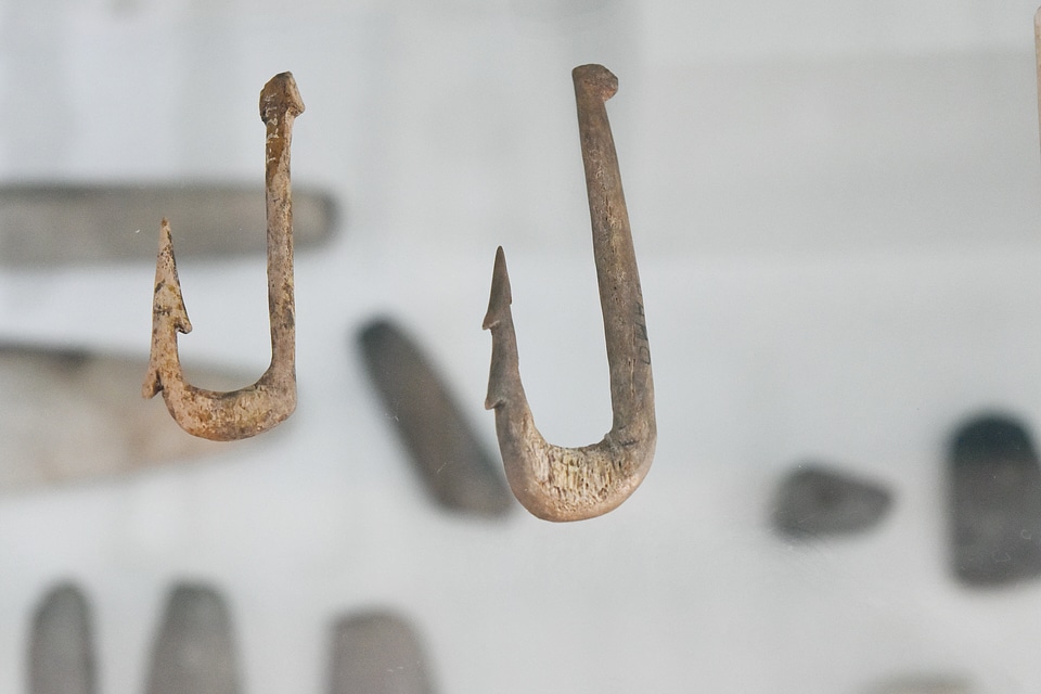 Antique antiquity bones