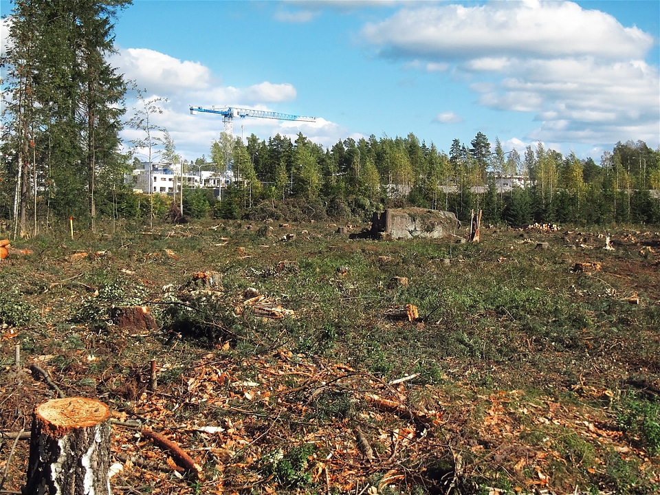 Helsinki finland environment