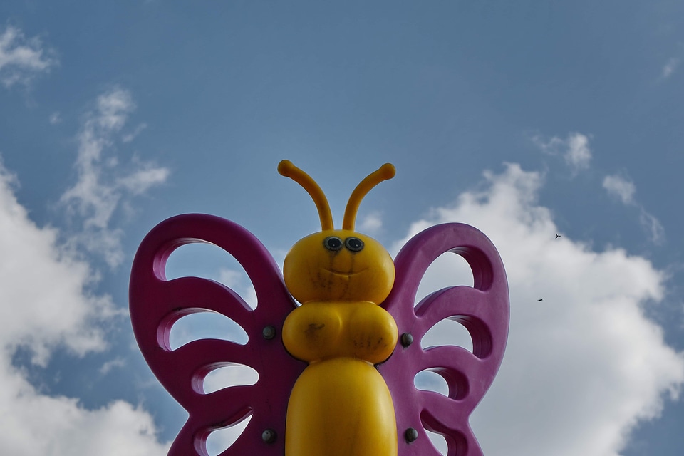 Blue Sky butterfly plastic