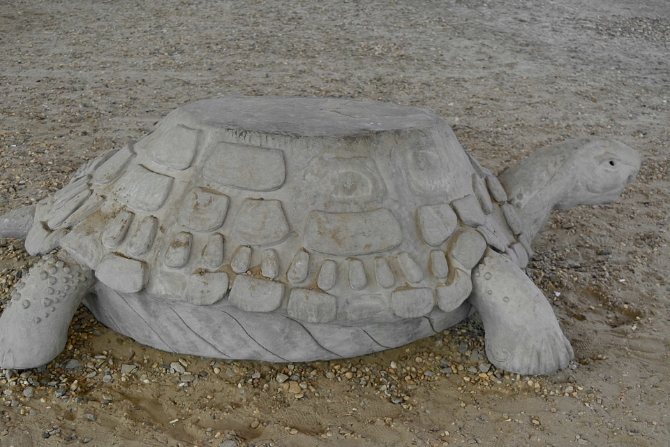 Concrete sculpture turtle
