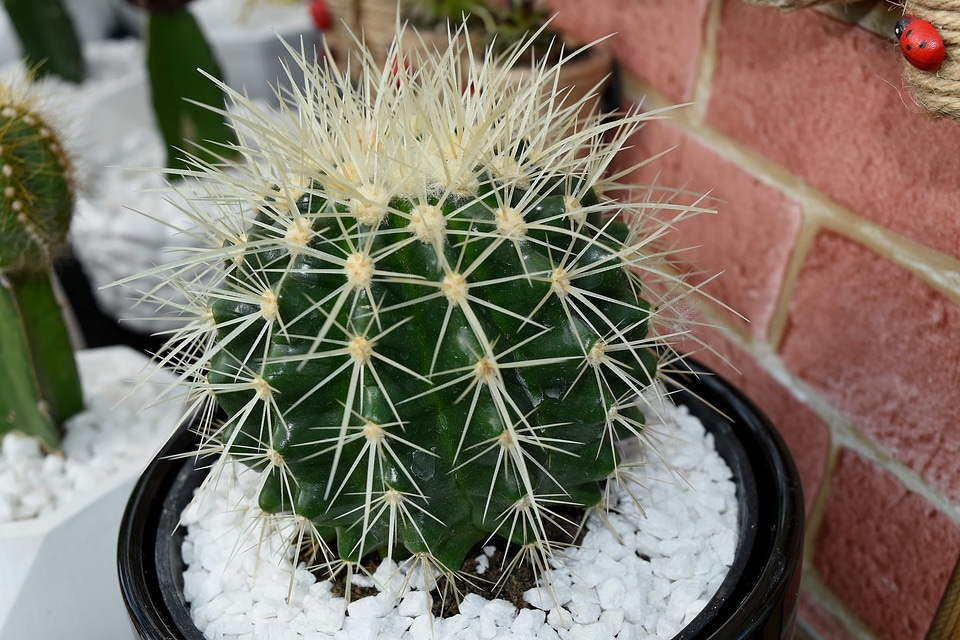 Decoration details flowerpot