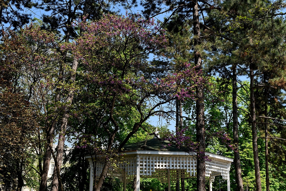 Garden terrace urban area