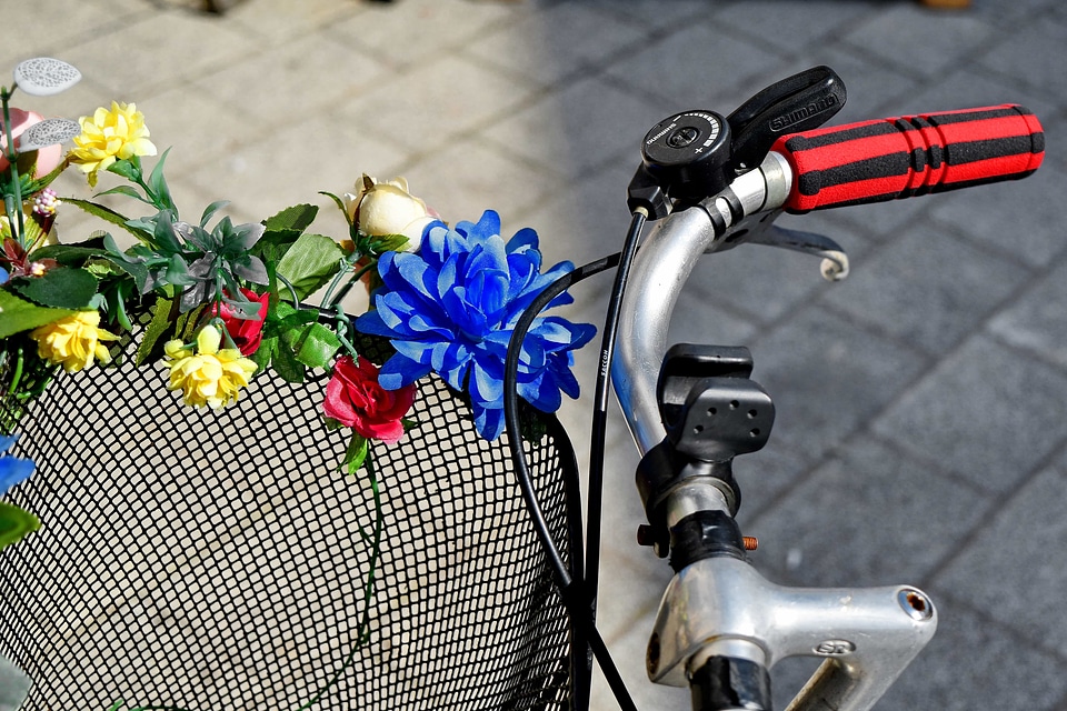 Basket bicycle flowers