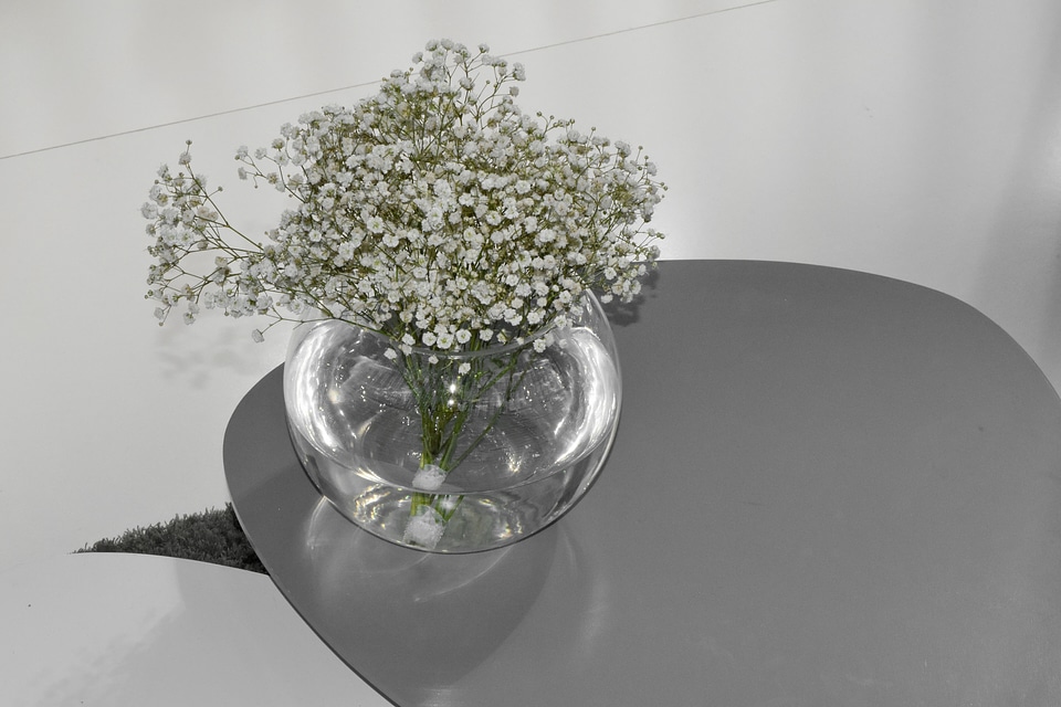 Flowers minimalism still life