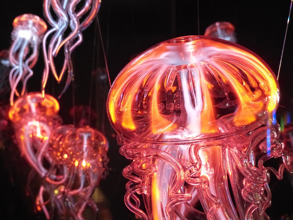 Light phenomenon lichtspiel glass