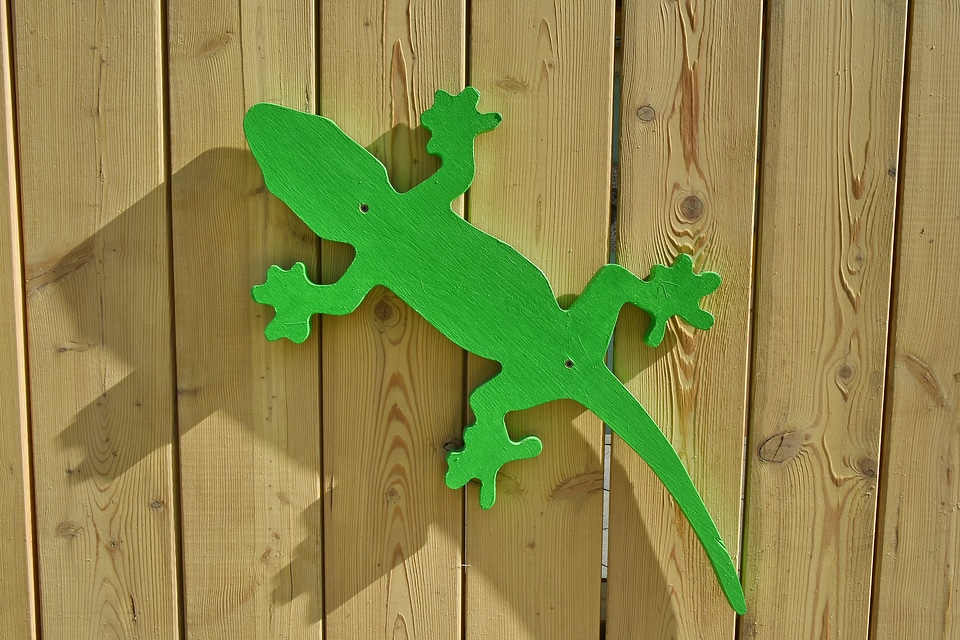 Lizard object wooden