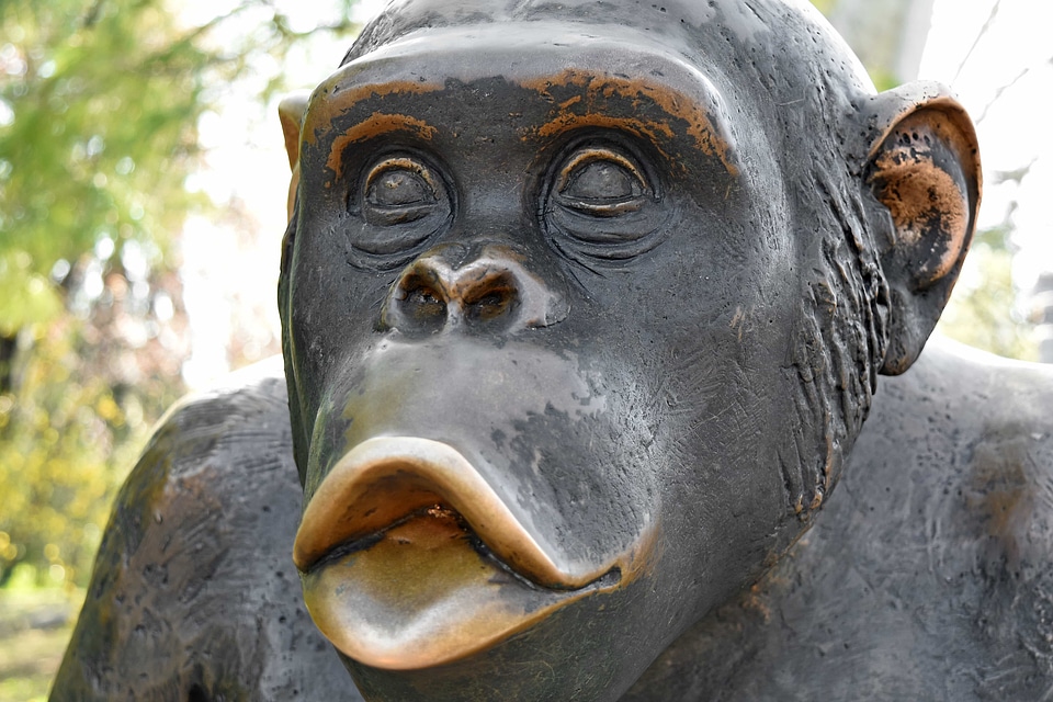 Bronze monkey sculpture