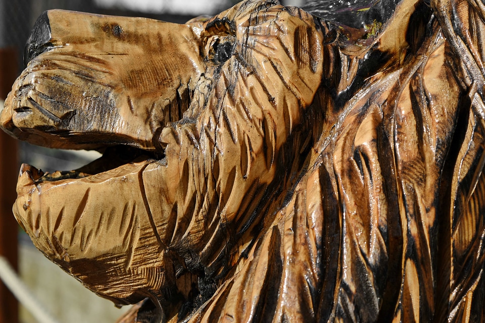 Lion wooden sculpture