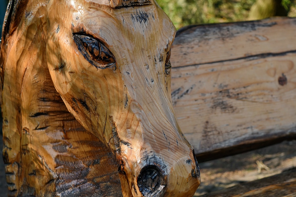Carving sculpture nature
