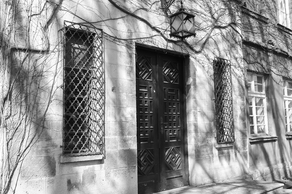 Black And White facade ivy