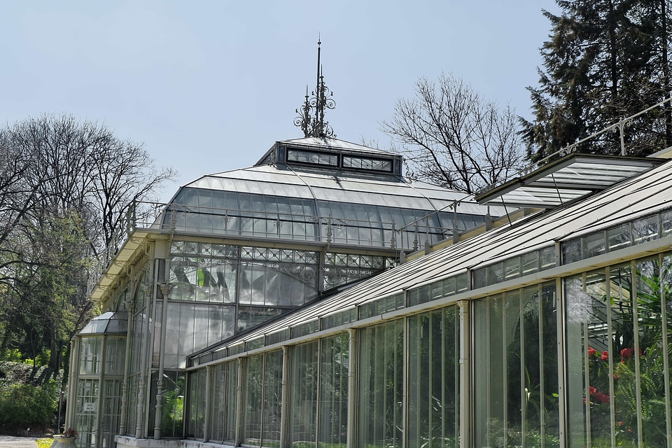 Botanical capital city garden