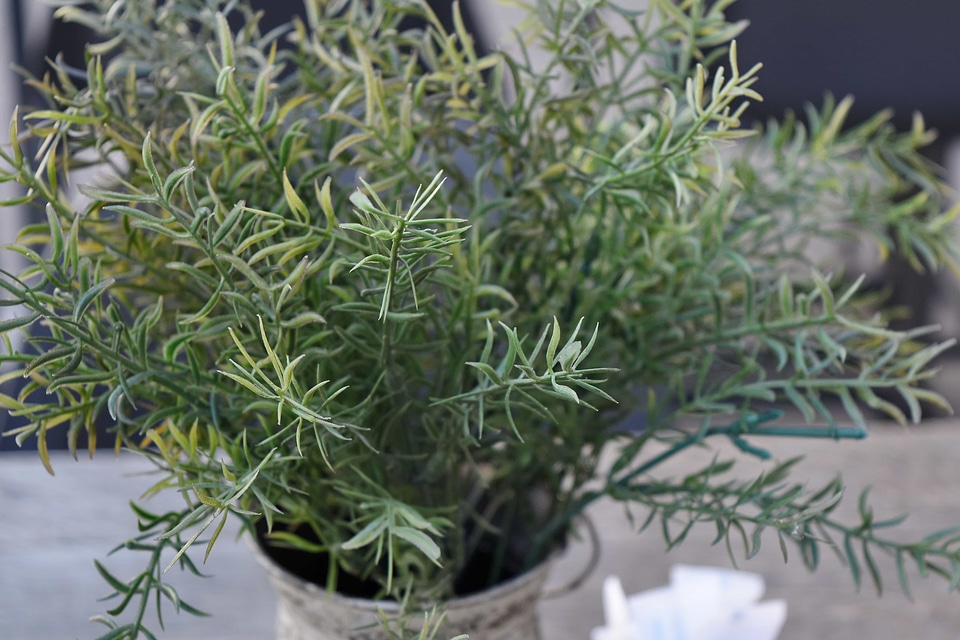 Restaurant spice herb
