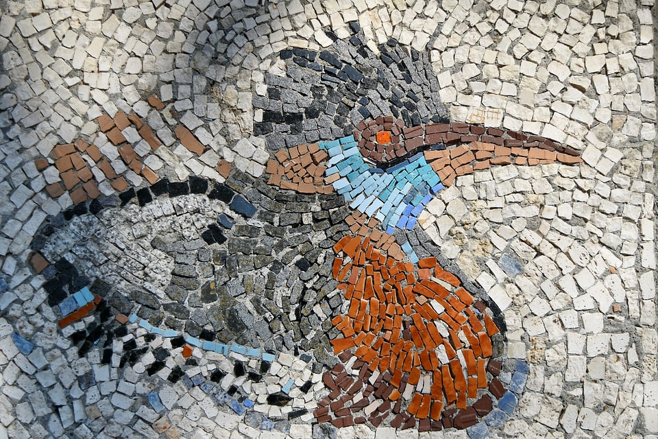 Art bird colourful