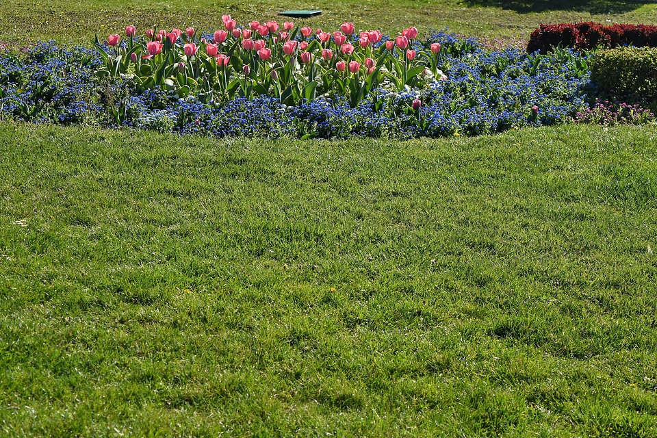 Landscape grass field