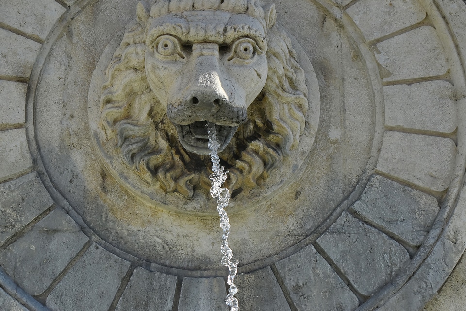 Fountain head lion