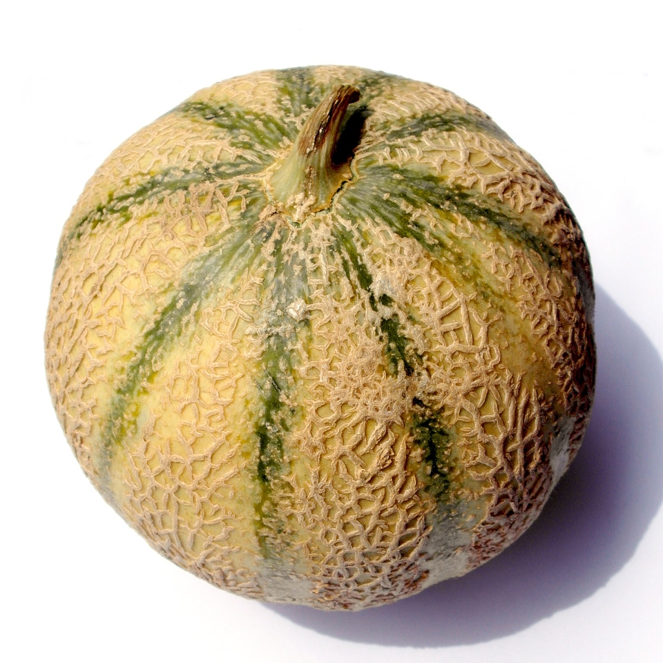 Fruit summer green