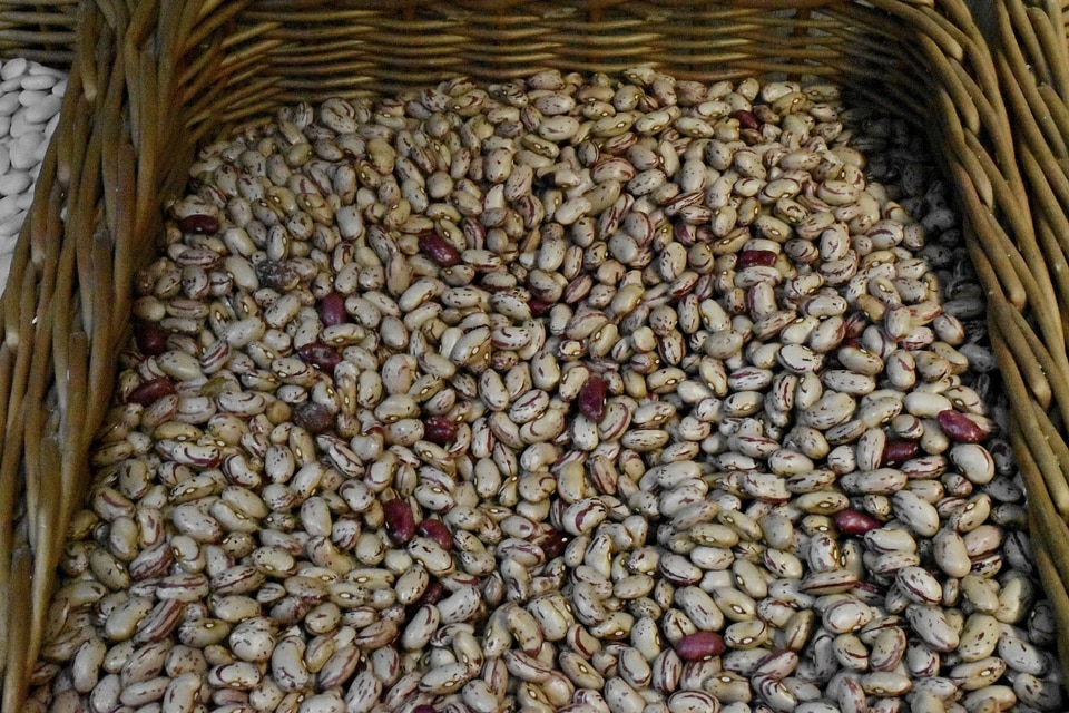 Seed vegetable food