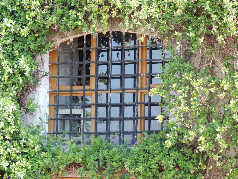 House building garden