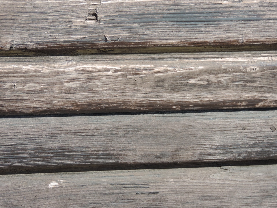 Carpentry hardwood board photo