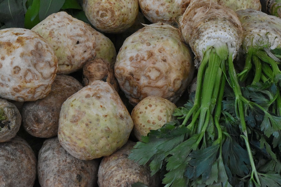 Organic vegetable produce