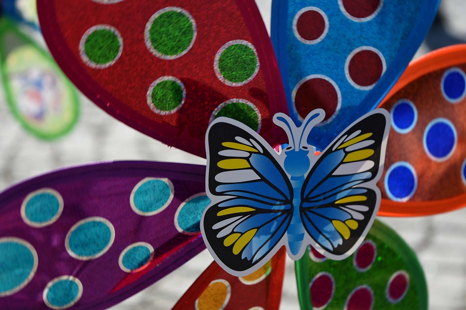 Butterfly toys decoration