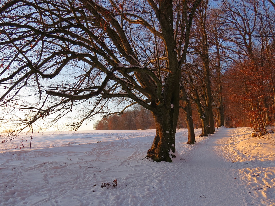 Snowy afterglow winter