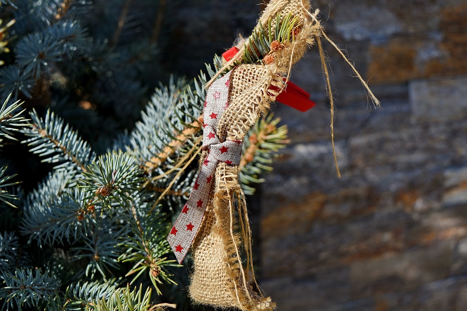 Tree winter christmas
