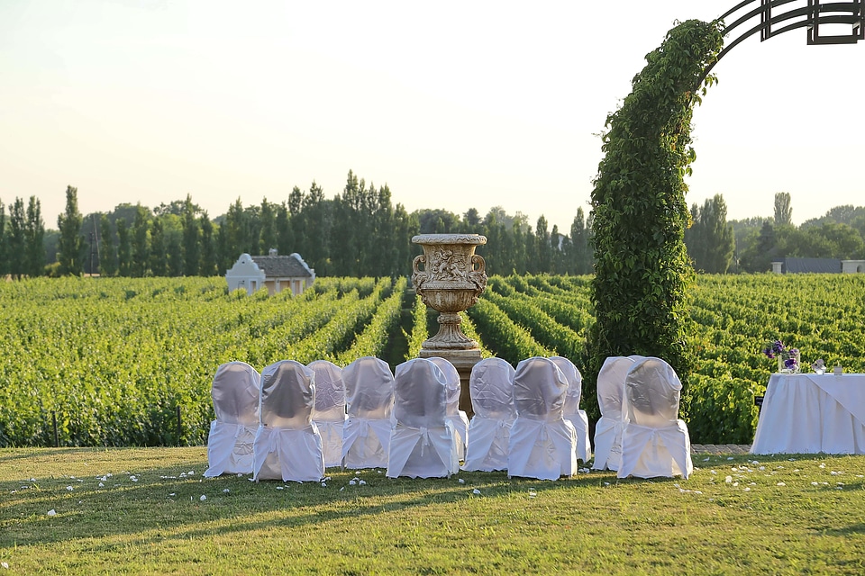 Wedding Venue vineyard agriculture