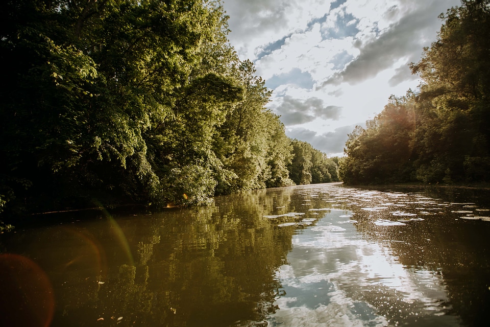 River rainforest sunshine