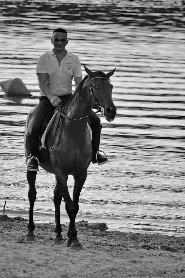 Beach horse lake