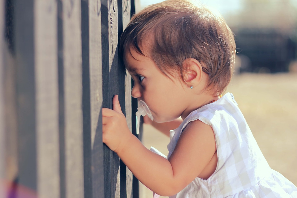 Baby toddler child
