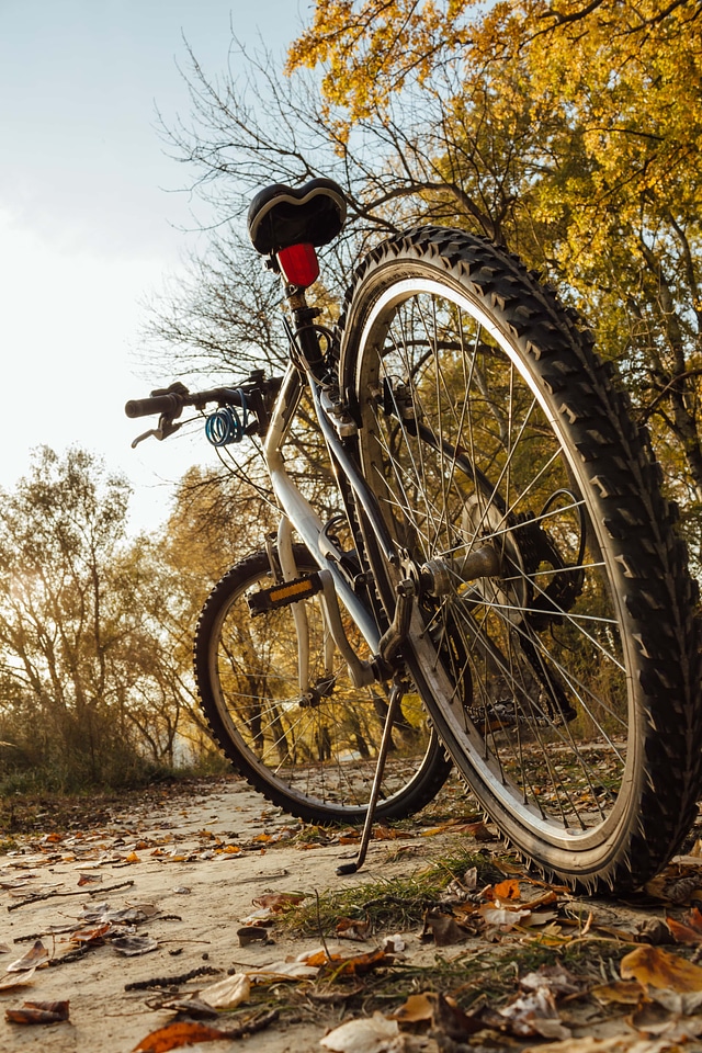 Mountain Bike tire sport
