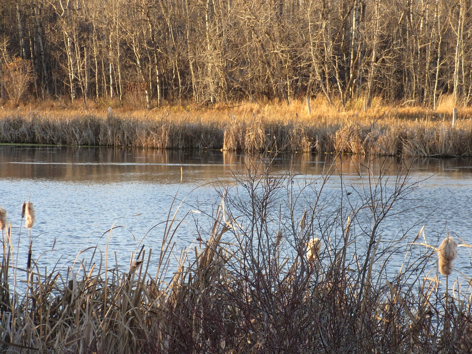 View reflection scene