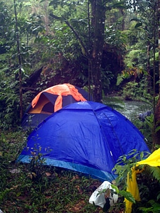 Camp jungle wilderness photo