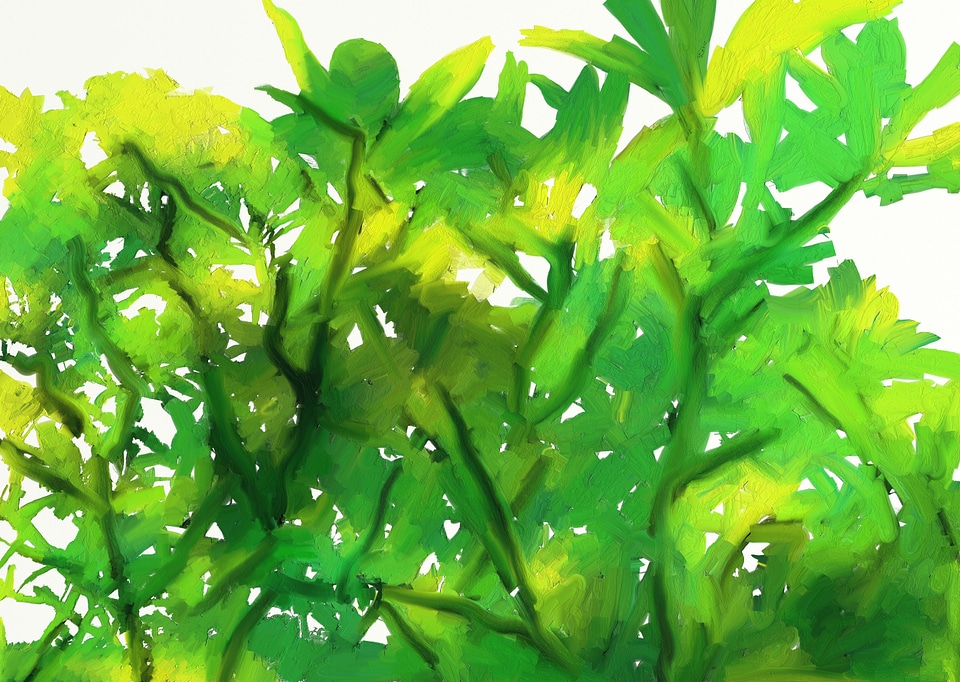 Tree leaves green digital