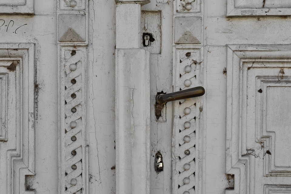 Carving ornament door