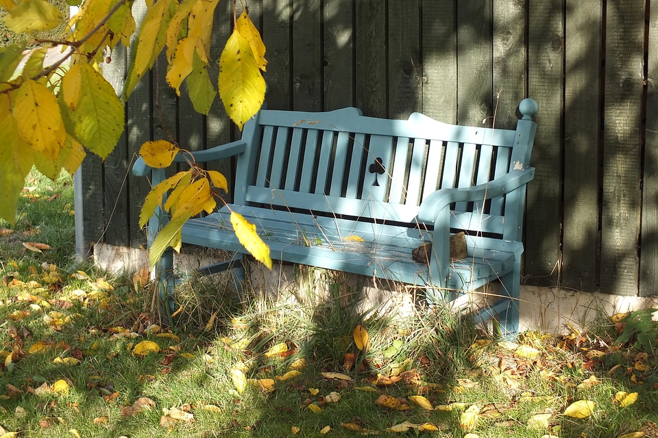 Rest sunbeam serenity