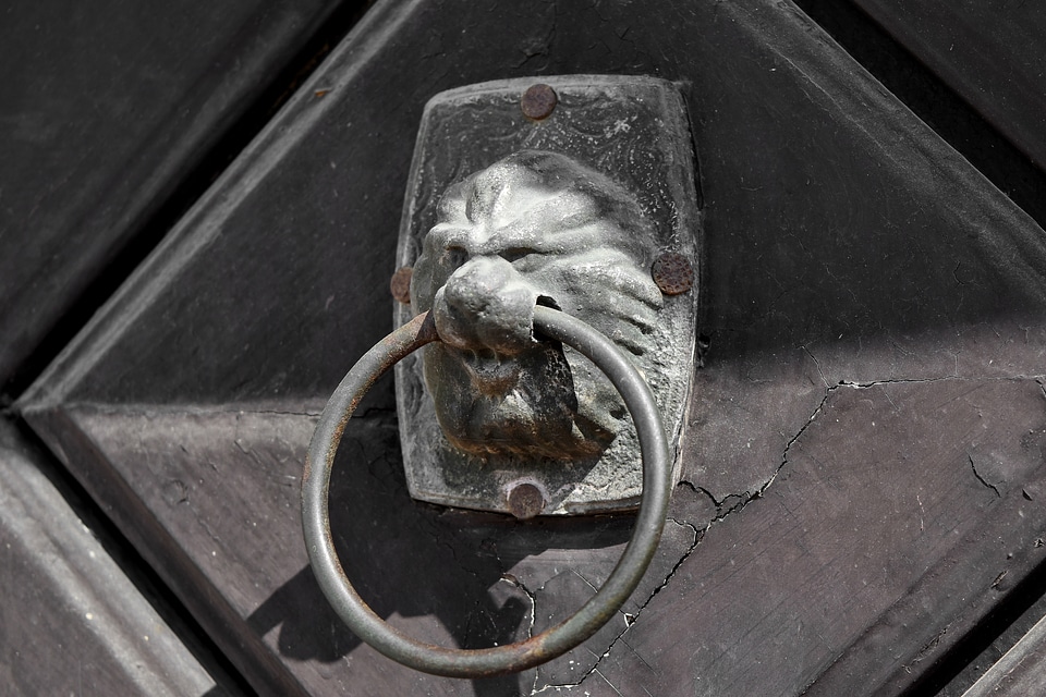 Alloy cast iron front door
