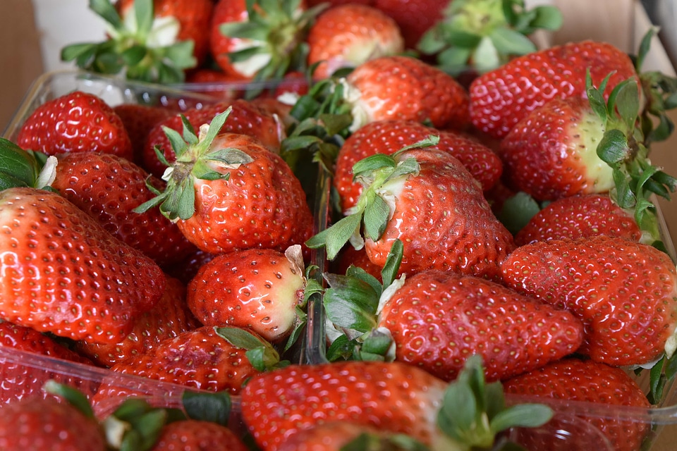 Healthy fruit food