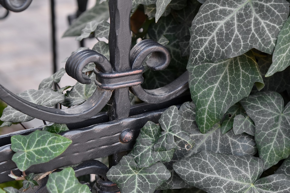 Cast Iron handmade leaf