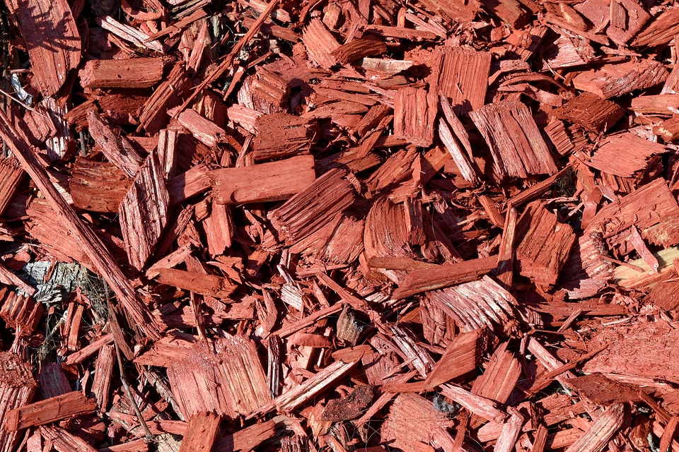 Bark texture batch