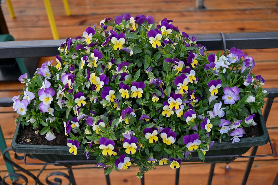 Cast Iron fence flowerpot