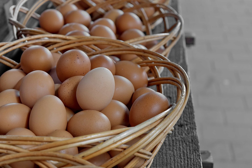 Wicker Basket food basket